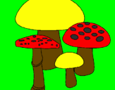 Disegno Funghi pitturato su Emy trotolo