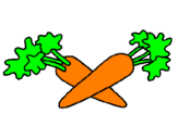 Disegno carote  pitturato su ciccia
