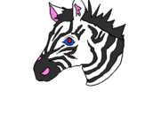 Disegno Zebra II pitturato su wwertyuioppè ùàòlkjhgfdsa
