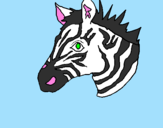 Disegno Zebra II pitturato su M@RTIN@