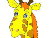 Disegno Muso di giraffa pitturato su akena