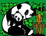 Disegno Mamma panda  pitturato su chiara  10  anni