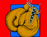 Disegno Guantoni da pugilato pitturato su NIk