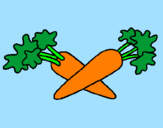 Disegno carote  pitturato su GABRI