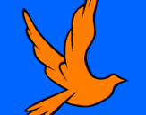 Disegno Colomba della pace in volo pitturato su laura