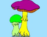 Disegno Funghi pitturato su laura 3 anni 