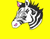 Disegno Zebra II pitturato su edoardo