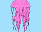 Disegno Medusa  pitturato su ANNA RIGAMONTI