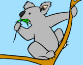 Disegno Koala  pitturato su erika