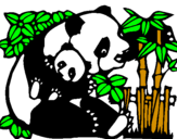 Disegno Mamma panda  pitturato su ELISA F.