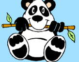 Disegno Orso panda  pitturato su Glo