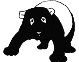 Disegno Orso panda  pitturato su ivan