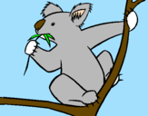 Disegno Koala  pitturato su per  mamma  da  lisa