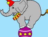 Disegno Elefante sulla palla  pitturato su giulio
