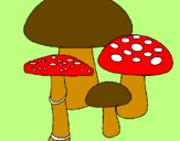 Disegno Funghi pitturato su nicole