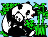 Disegno Mamma panda  pitturato su Sara
