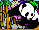Disegno Orso panda con bambù  pitturato su GIULIA DE LUCA