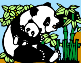 Disegno Mamma panda  pitturato su su