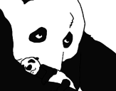 Disegno Orso panda con il suo cucciolo pitturato su Mey