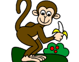 Disegno Scimmietta  pitturato su scimmi