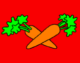 Disegno carote  pitturato su piccicolocaamelinq