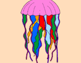 Disegno Medusa  pitturato su martina34