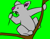 Disegno Koala  pitturato su sofia