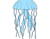 Disegno Medusa  pitturato su martina