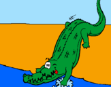 Disegno Alligatore che entra nell'acqua  pitturato su andrea