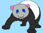 Disegno Orso panda  pitturato su alice