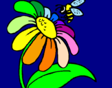 Disegno Margherita con ape  pitturato su SRWD