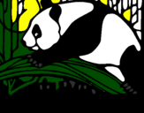 Disegno Oso panda che mangia  pitturato su simone