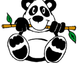 Disegno Orso panda  pitturato su Roberta