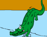Disegno Alligatore che entra nell'acqua  pitturato su GENNY