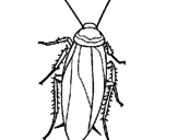 Disegno Scarafaggio  pitturato su scaraffo
