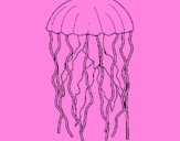 Disegno Medusa  pitturato su Ale