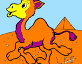 Disegno Cammello pitturato su camello