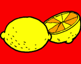 Disegno limone  pitturato su Silvia gardini