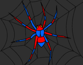Disegno Ragno pitturato su spiderman simo&sara