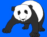 Disegno Orso panda  pitturato su Giada
