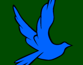 Disegno Colomba della pace in volo pitturato su Marti
