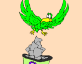 Disegno Aquila riciclatrice  pitturato su gimo