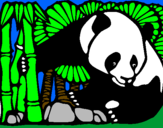 Disegno Orso panda con bambù  pitturato su sre
