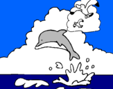 Disegno Delfino e gabbiano  pitturato su balena1