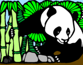 Disegno Orso panda con bambù  pitturato su ONO
