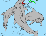 Disegno Delfini che giocano  pitturato su tartaruga di mare