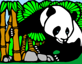 Disegno Orso panda con bambù  pitturato su michele