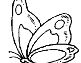 Disegno Farfalla  pitturato su azza