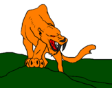Disegno Tigre con affilati canini  pitturato su pasquale