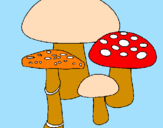 Disegno Funghi pitturato su cocci